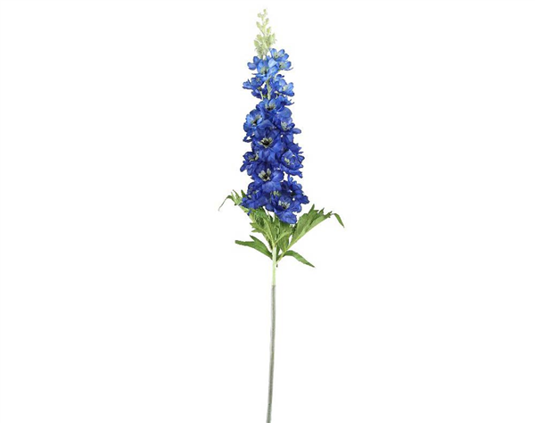UMIKA Delphinium Flower blue spray
19.990000

Webshop » Decoratie » Decoratie