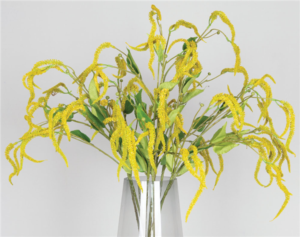 UMIKA Garden Flower gele cypress
5.990000

Webshop » Decoratie » Decoratie