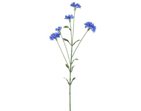 UMIKA Garden Flower dark blue cornflower UMIKA Garden Flower dark blue cornflower