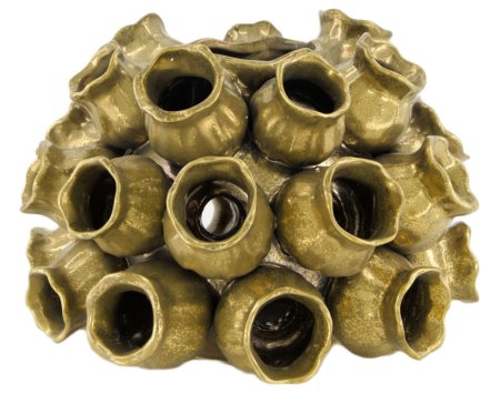 CERA Vaas Gold CERA Vaas Gold