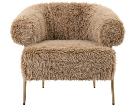 GABRI Fauteuil Bruin GABRI Fauteuil Bruin