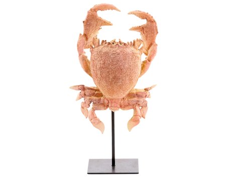 GERWIN Ornament GERWIN Ornament