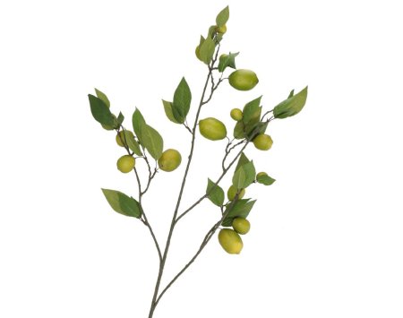 LIVA Kunstbloemen Yellow/Green Lemon