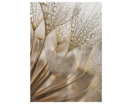 NATUURLIJKE ABSTRACTIE Wanddecoratie NATUURLIJKE ABSTRACTIE Wanddecoratie