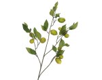 LIVA Kunstbloemen Yellow/Green Lemon